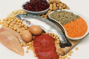 NutriDi (Nutrition and Dietetics Consult)
