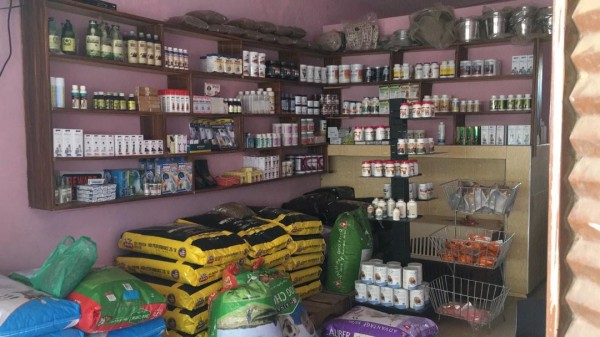 MJ Pet and Veterinary Services