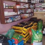 MJ Pet and Veterinary Services